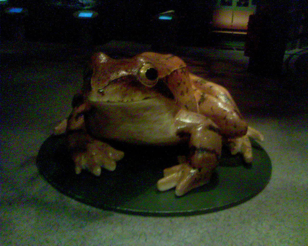 DSC00060.JPG - 316,053BYTES